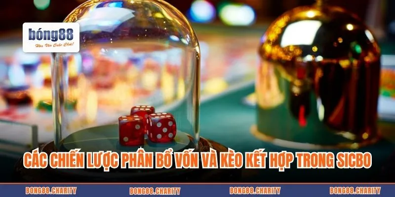 Các chiến lược phân bổ vốn và kèo kết hợp trong sicbo