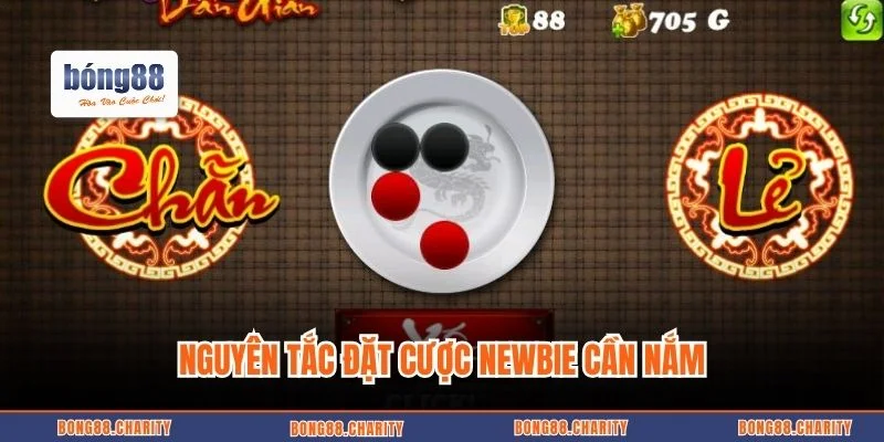 Nguyên tắc đặt cược newbie cần nắm