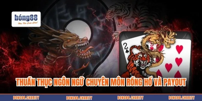 Thuần thục ngôn ngữ chuyên môn Rồng hổ và Payout